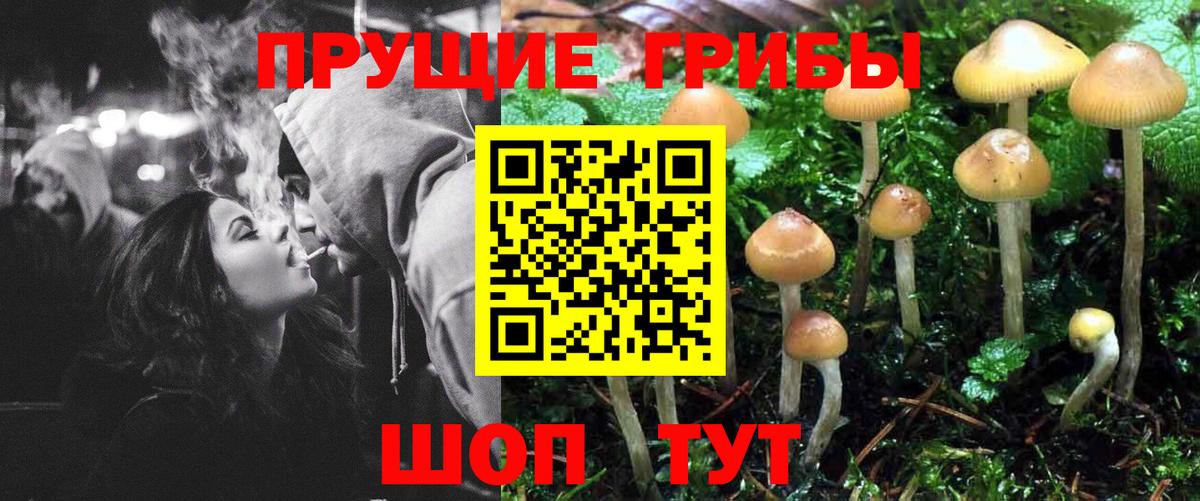 Галлюциногенные грибы прущие грибы Фрязино