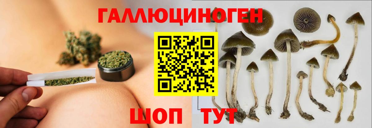 Псилоцибиновые грибы мухоморы  Вход с VPN  Фрязино 